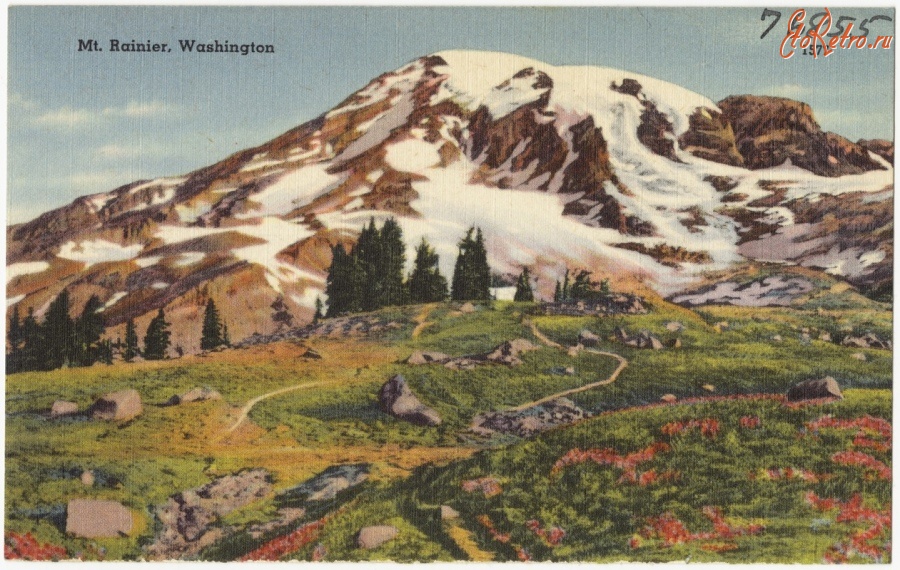 Штат Вашингтон - Альпийские луга в районе пика Ренье, штат Вашингтон