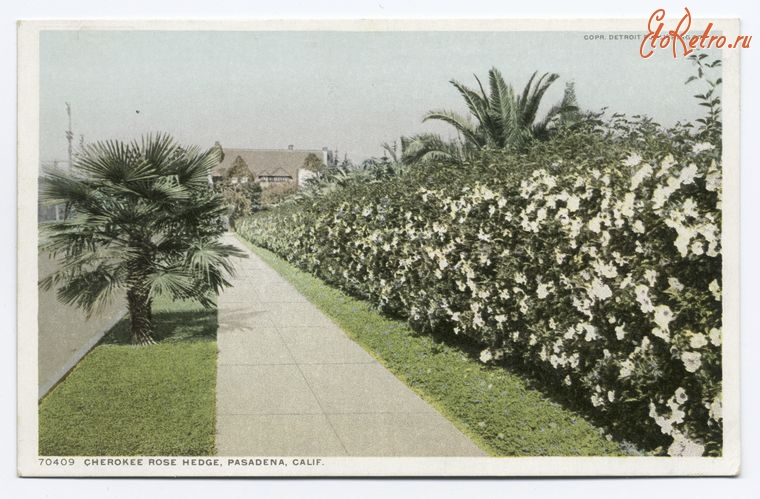 Штат Калифорния - Пасадена. Чероки Роуз, 1898-1932
