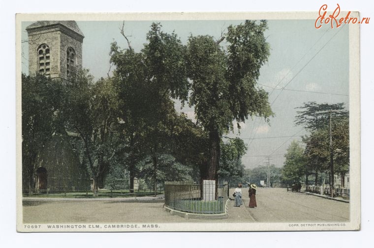 Штат Массачусетс - Кембридж. Вашингтонский вяз, 1898-1931