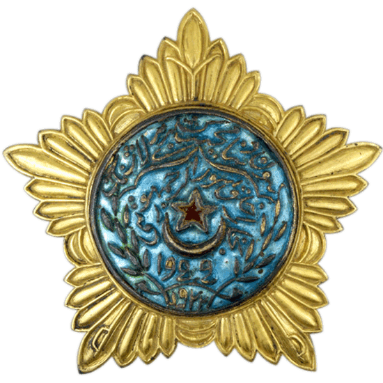 Медали, ордена, значки - Орден Красной Звезды Бухарской Народной Советской Республики  (Бухарская НСР)