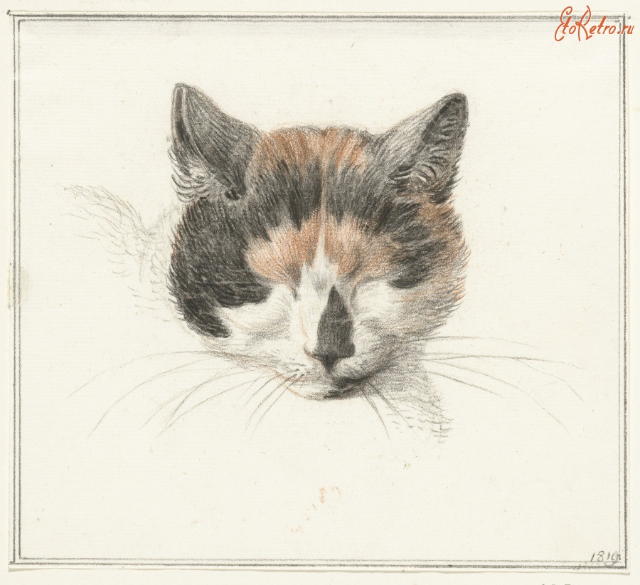 Картины - Жан Бернард. Спящая кошка