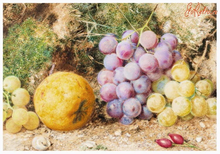 Картины - Уильям Генри Хант. Натюрморт с фруктами
