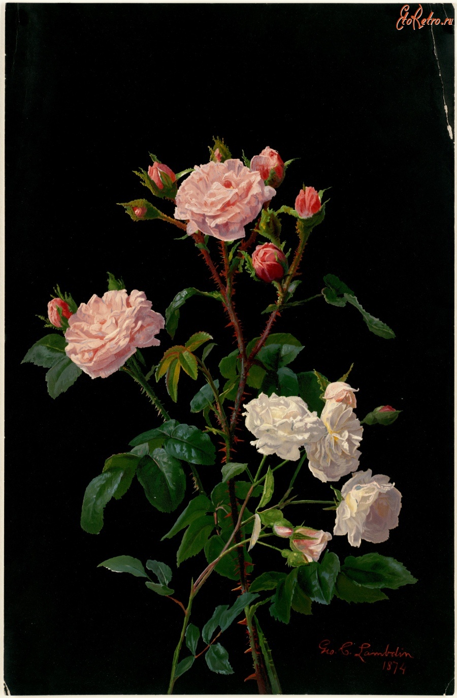 Картины - Джордж Кокран Ламбдин. Розовые и белые розы