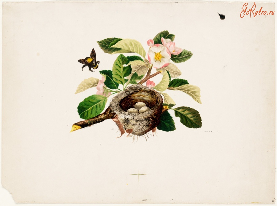 Картины - Шмель, цветы и птичье гнездо