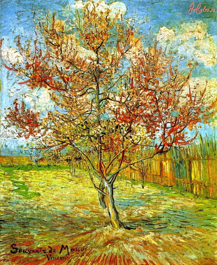 Картины - Арль. Деревья в цвету. Памяти Мауве. 1888