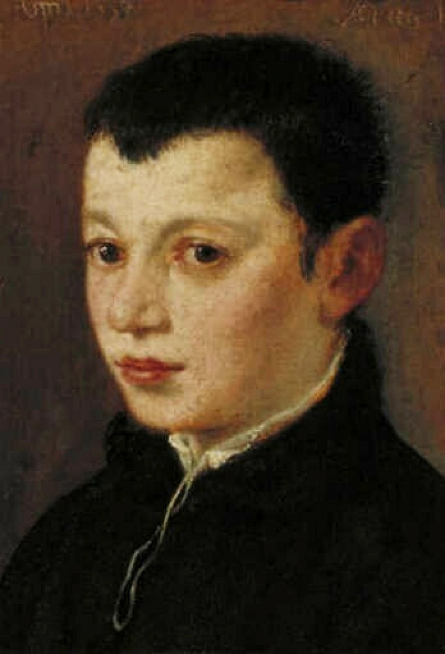 Картины - Музей Бойманса ван Бенингена в Роттердаме.  Портрет мальчика. 1558