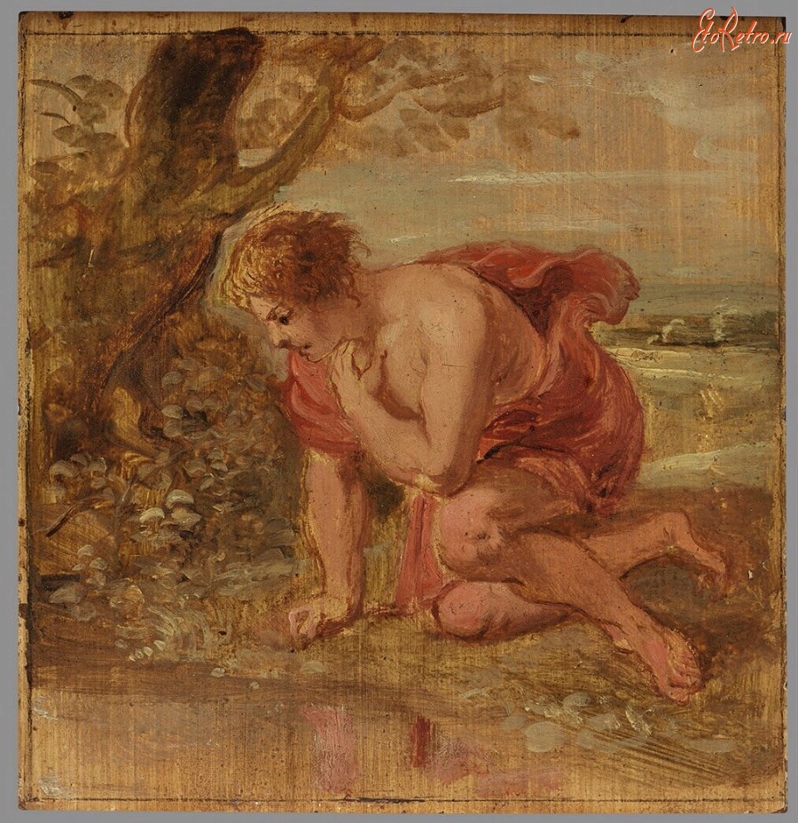 Картины - Музей Бойманса ван Бенингена в Роттердаме. Нарцисс. Эскиз. Ок. 1636