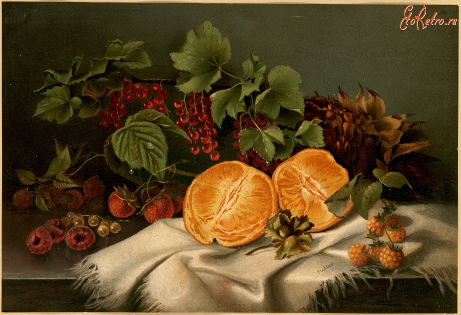 Картины - Апельсины, ягоды и ветка красной смородины