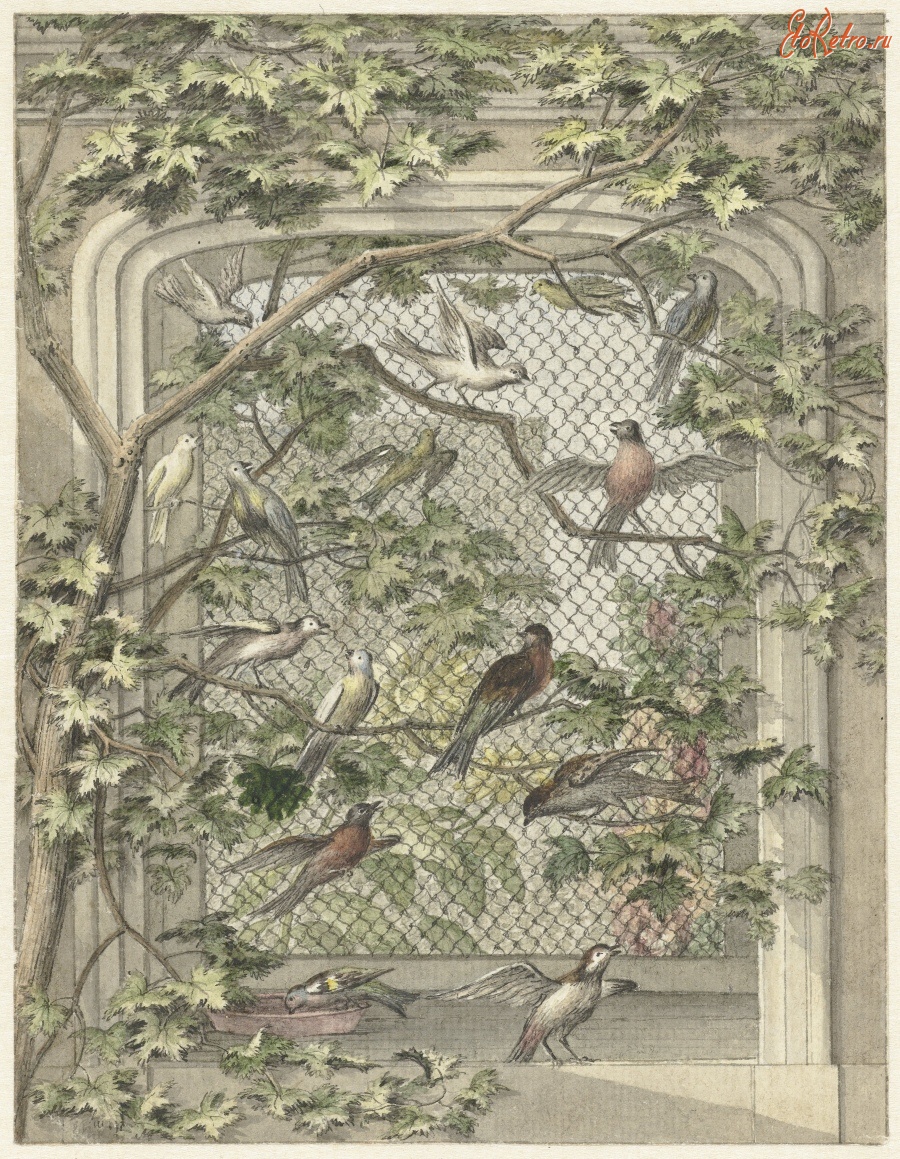 Картины - Вольер с птицами