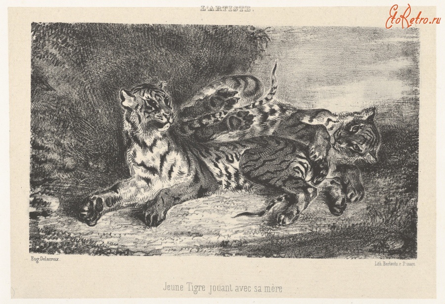 Картины - Эжен Делакруа. Молодой тигр, играющий со своей матерью