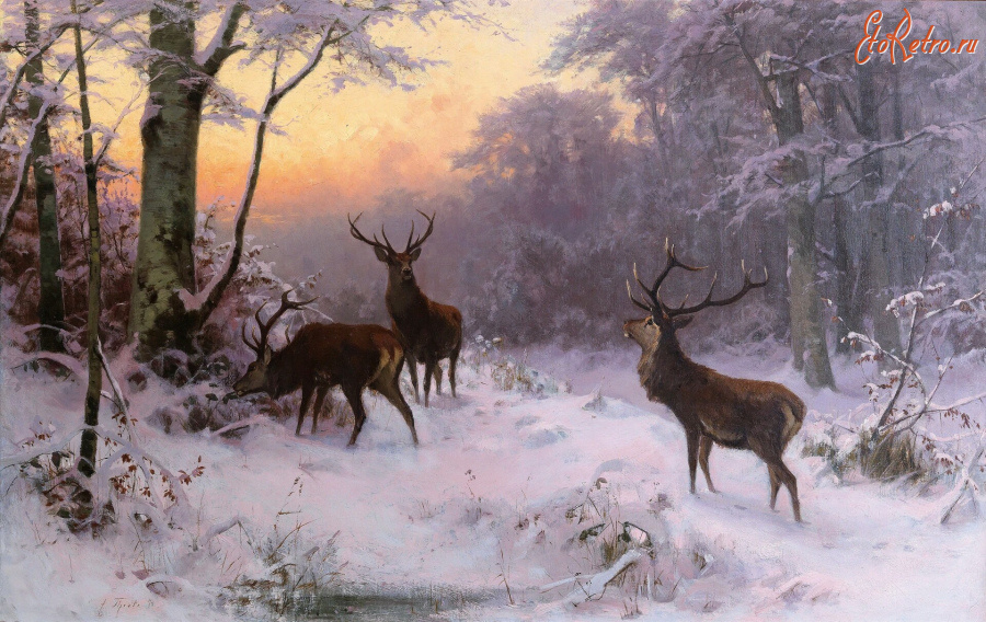 Картины - Артур Тиле. Олени в зимнем лесу
