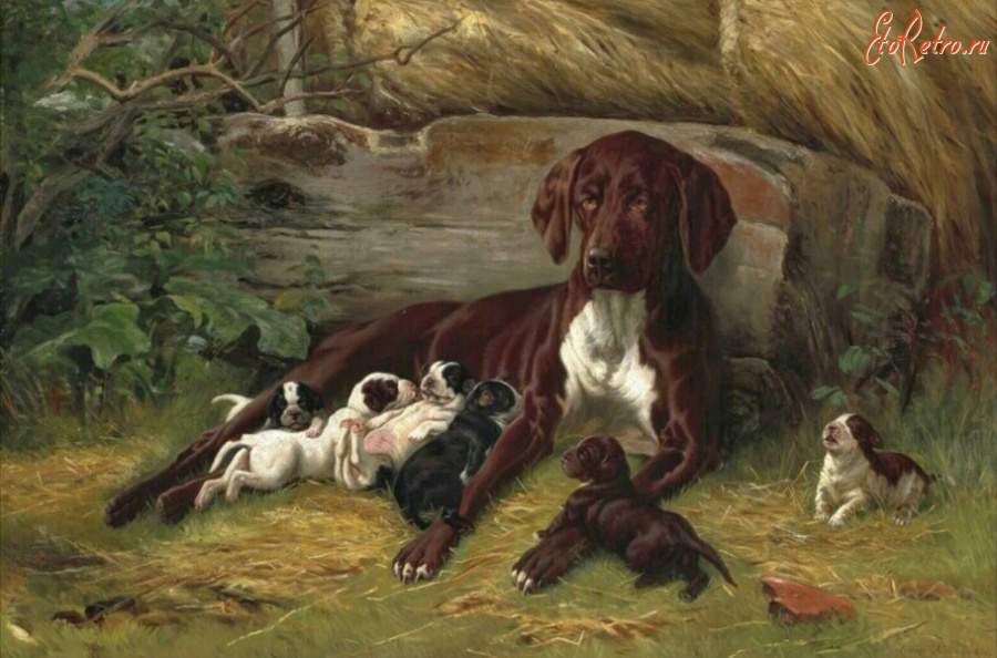 Картины - Симон Симонсен. Хонзехунд со своими щенками