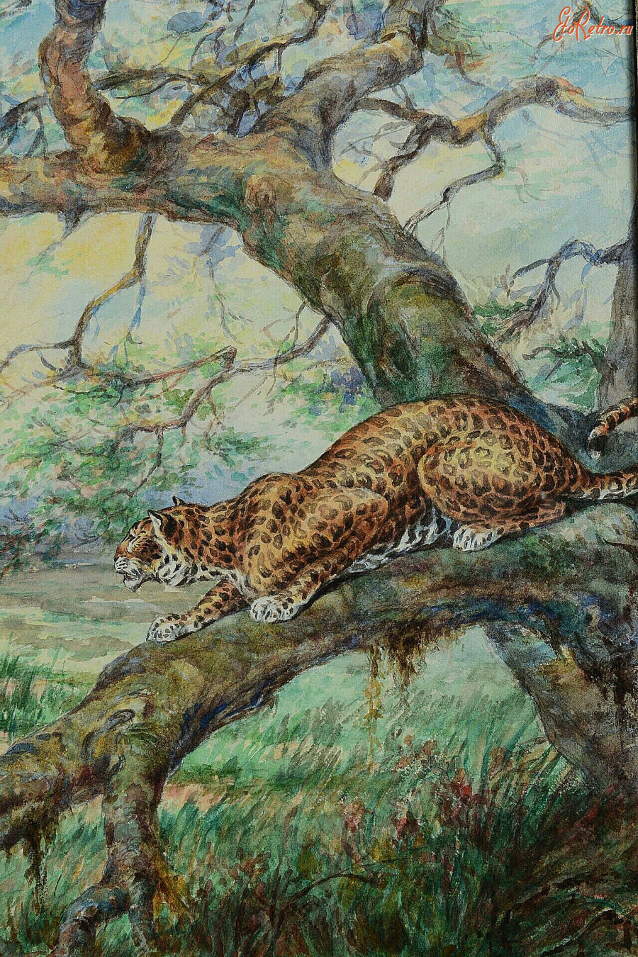 Картины - Франсуа Кастеллан. Леопард на охоте