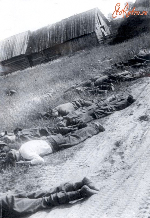 Московская область - Мирные советские жители, убитые фашистами