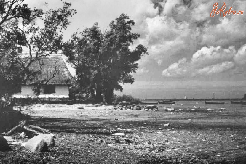 Калининградская область - Деревушка на берегу Куршского залива 1920 гг.