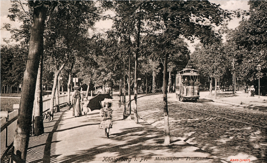 Калининград - Променад перед парком Королевы Луизы.