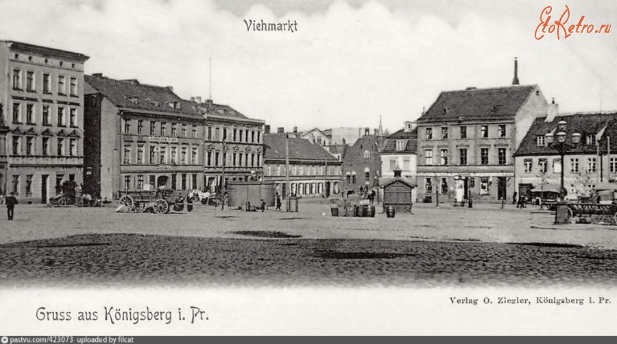 Калининград - Viehmarkt 1903—1907, Россия, Калининград