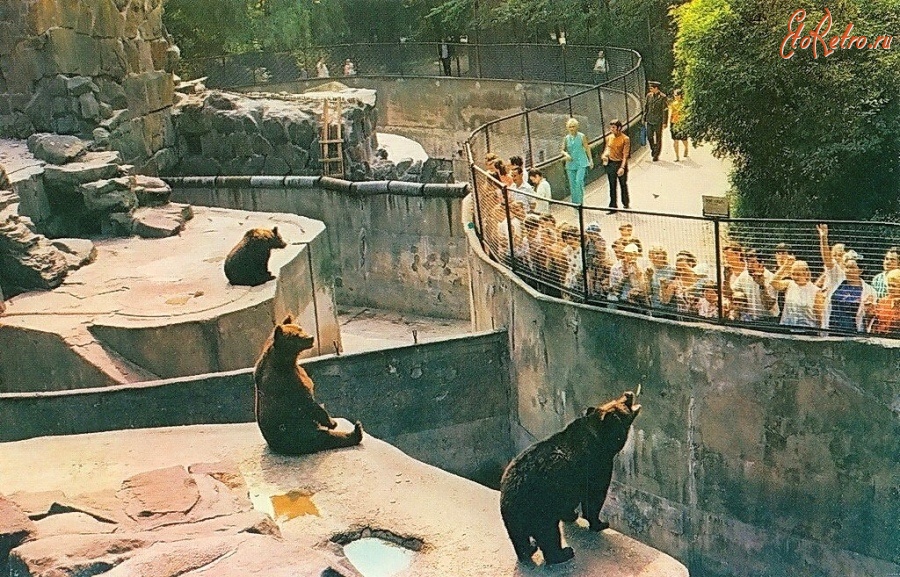 Калининград - Калининградский зоопарк. Вольер с медведями.