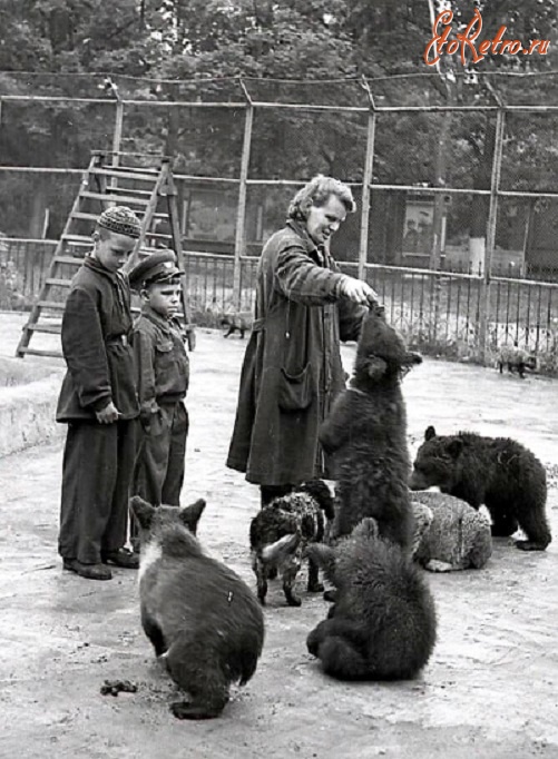 Калининград - Мальчики наблюдают за медвежатами в Калининградском зоопарке.