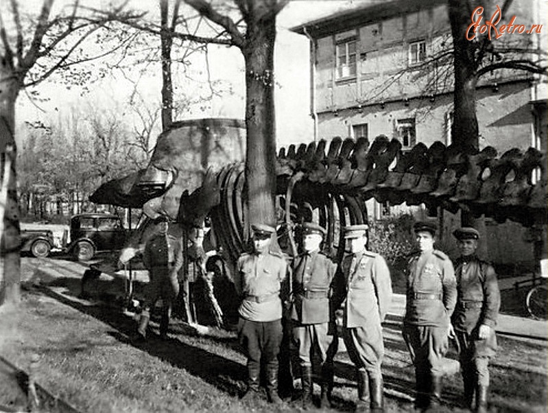 Калининград - Кёнигсбергский зоопарк. Группа офицеров возле скелета кашалота в .