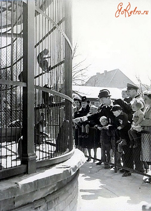 Калининград - Кёнигсбергский зоопарк. Посетители возле клетки с обезьянами.