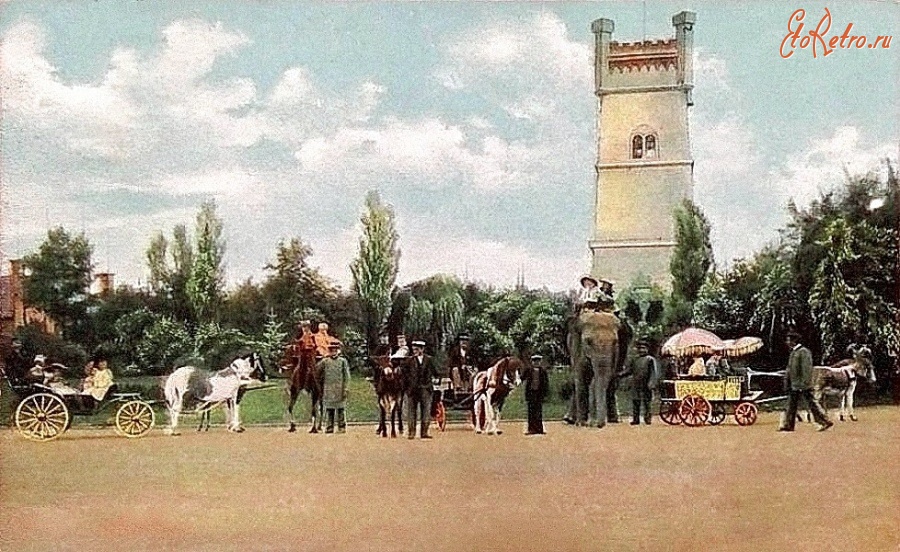 Калининград - Кёнигсберг. Катание детей на слоне и пони в зоопарке.