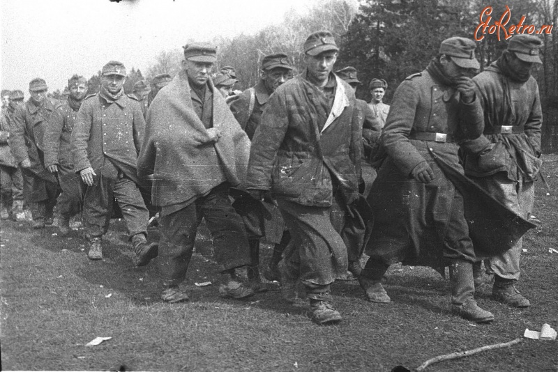 Калининград - Немцы, взятые в плен во время штурма Кёнигсберга