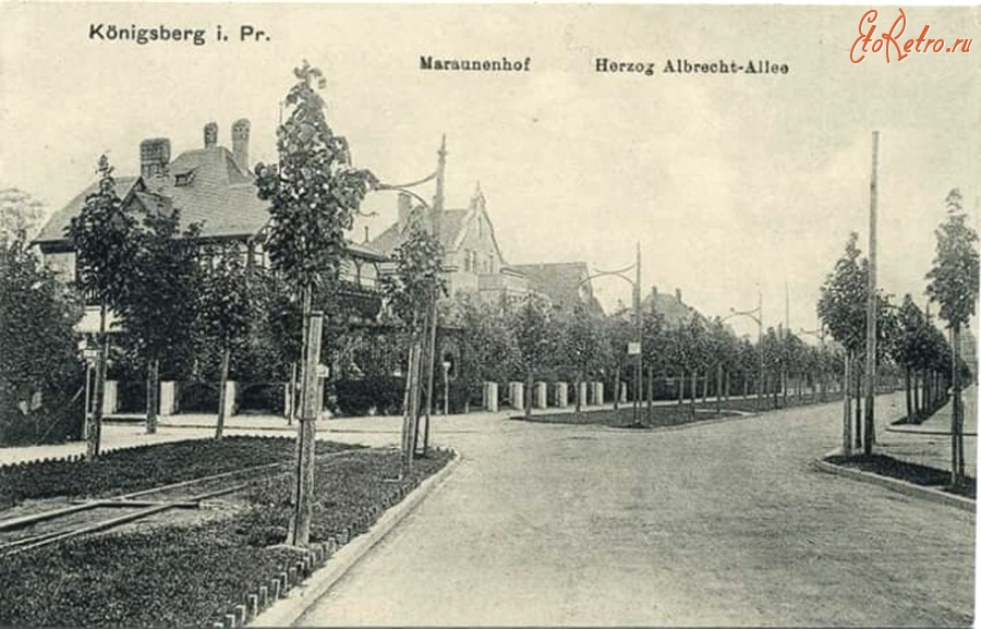 Калининград - Koenigsberg. Maraunenhof. Herzog Albrecht-Allee.