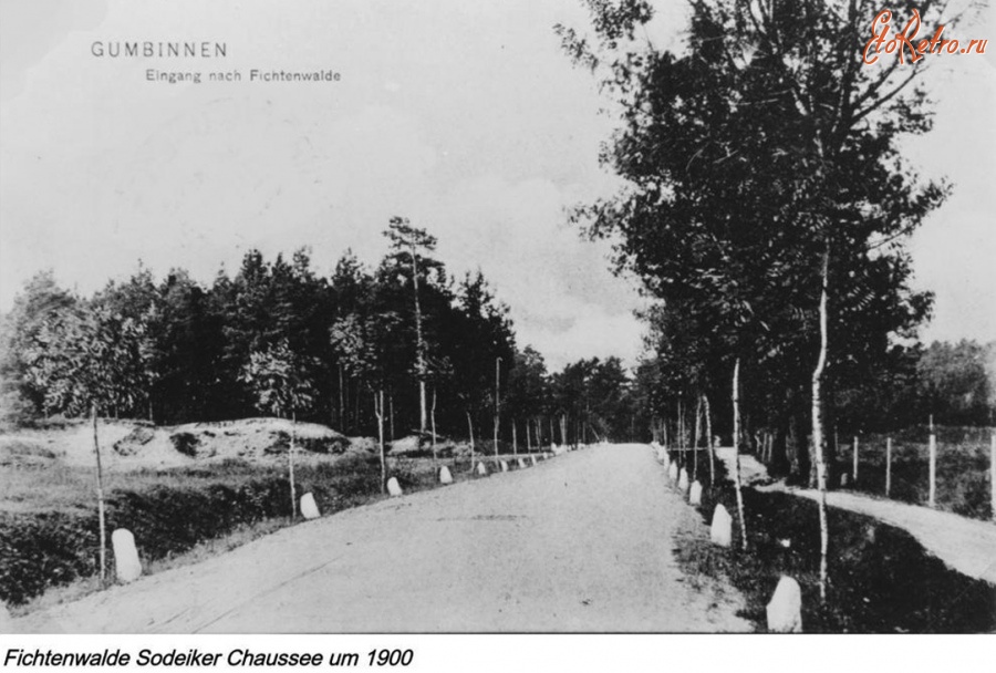 Гусев - Gumbinnen - Stadtwald