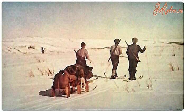 Красноярский край - Участники Таймырской арктической экспедиции отправляются в тундру