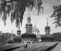 Печоры - Псково-Печерский мужской монастырь. Купола Покровской церкви.