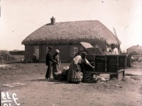 Саратовская область - Очистка зерна ручной веялкой