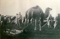 Энгельс - Пленные автрийские солдаты на сельхозработах под Покровском