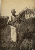 Разное - Крестьянка с серпом и колосьями в поле