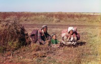 Разное - Киргизы-кочевники.