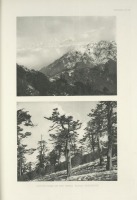 Разное - Непал. Зимний дом куропатки, 1918-1922