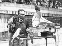 Разное - Продавец попугаев учит птиц петь по граммофон