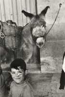 Разное - Инге Морат, Мальчик и его ослик