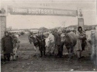 Петровск - Районная выставка по животноводству