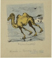 Смешное - Верблюд на коньках