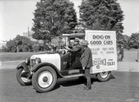 Ретро автомобили - Такси для перевозки собак.