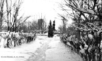 Луганск - Сельхозинститут.Начало 60-х. годов. Фото Е.Кульчихина.