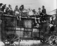 Житомир - Ось такий транспорт обслуговував  житомирян в кінці 19 сторіччя.