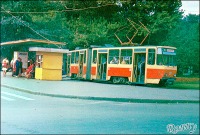 Житомир - Городской трамвай