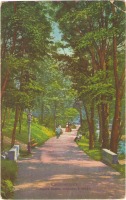Кисловодск - Парк близ Стеклянной струи, в цвете