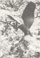Кисловодск - Скульптура Орла в Нижнем парке