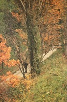 Кисловодск - Осенний парк