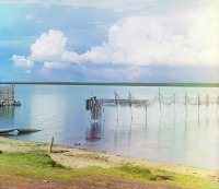 Осташков - Сушка сетей на озере Селигер. Осташков. 1910 год
