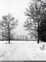 Москва - Зимняя пустошь перед 16 Парковой улицей