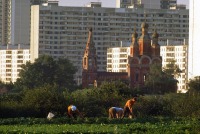 Москва - Последние огородники Тропарева
